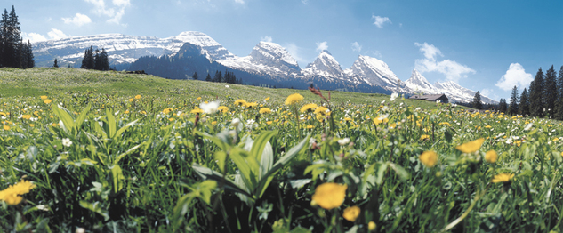 sommerpanorama.jpg