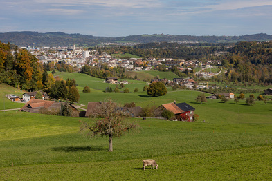 5-bp-bazenheid22-005.jpg